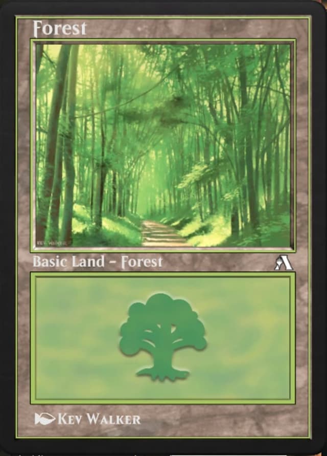 Forest image