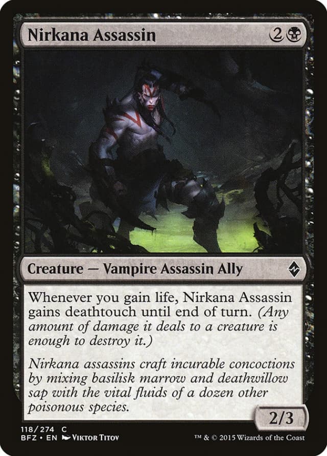 Nirkana Assassin image