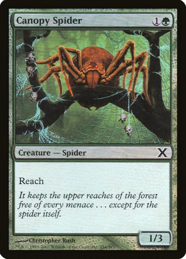Canopy Spider image