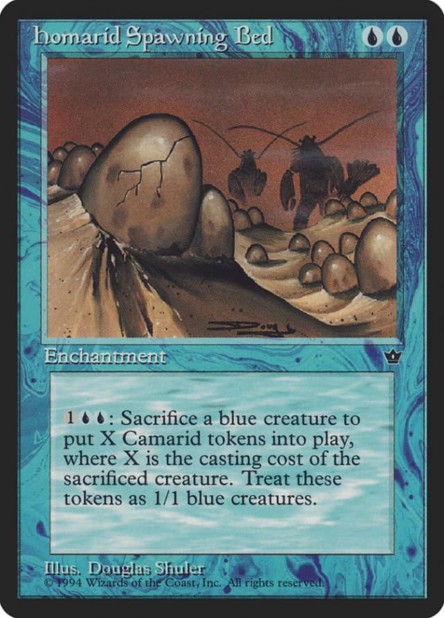 Homarid Spawning Bed image