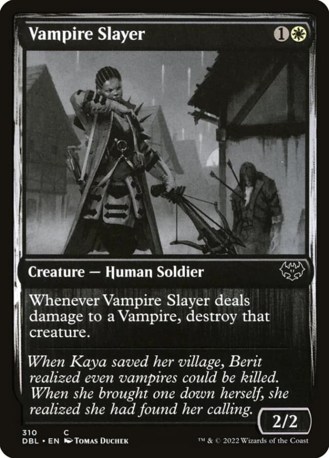 Vampire Slayer image