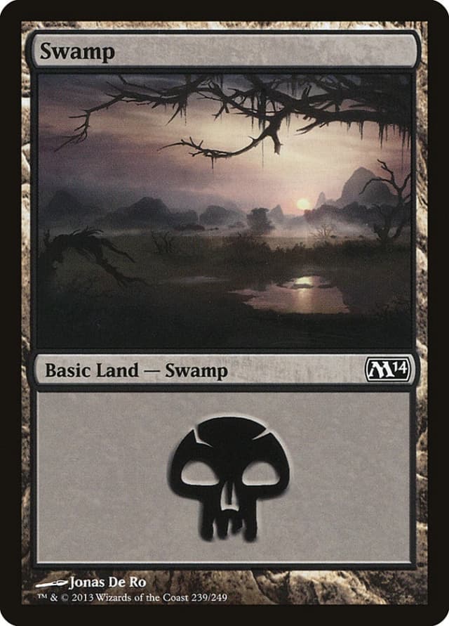 Swamp image