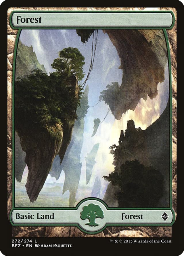 Forest image
