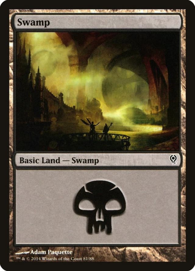 Swamp image