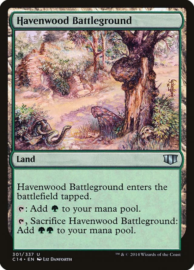 Havenwood Battleground image