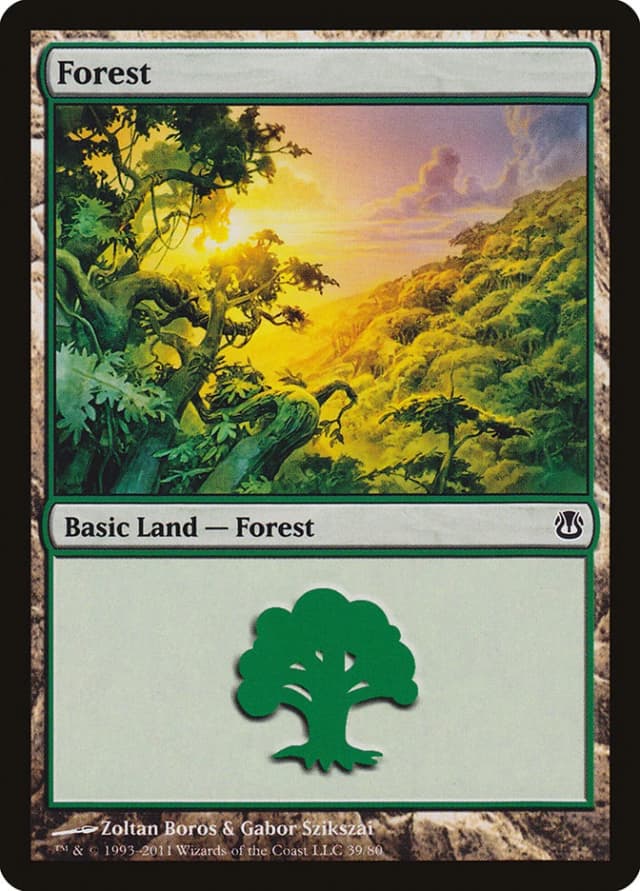 Forest image