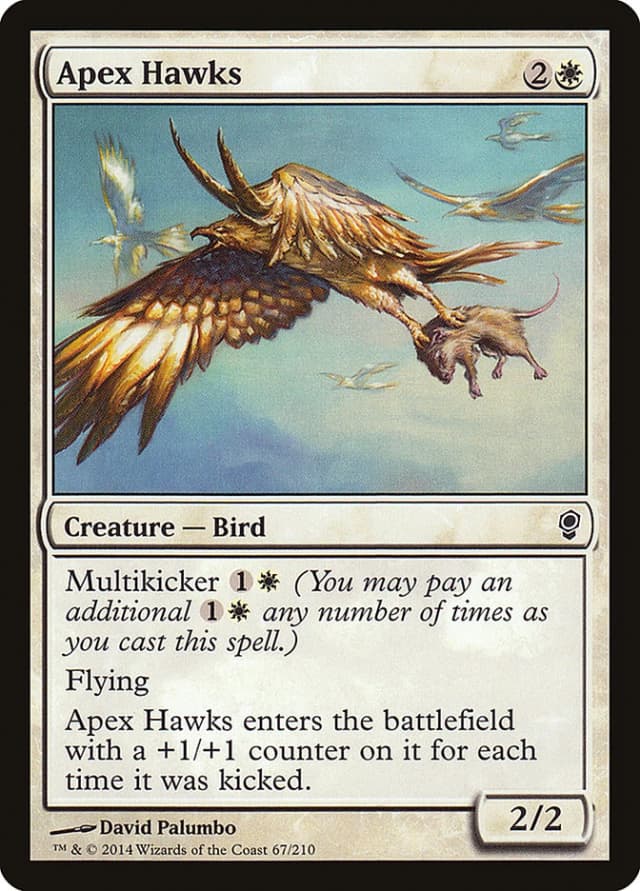 Apex Hawks image