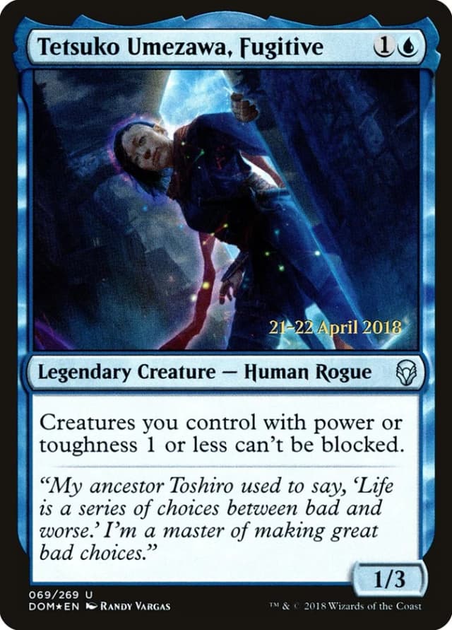 Tetsuko Umezawa, Fugitive image