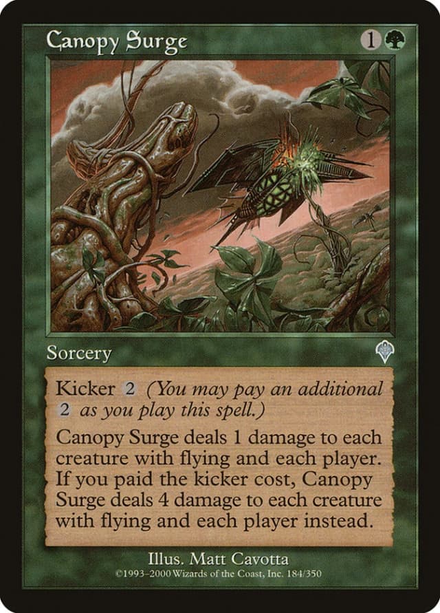 Canopy Surge image