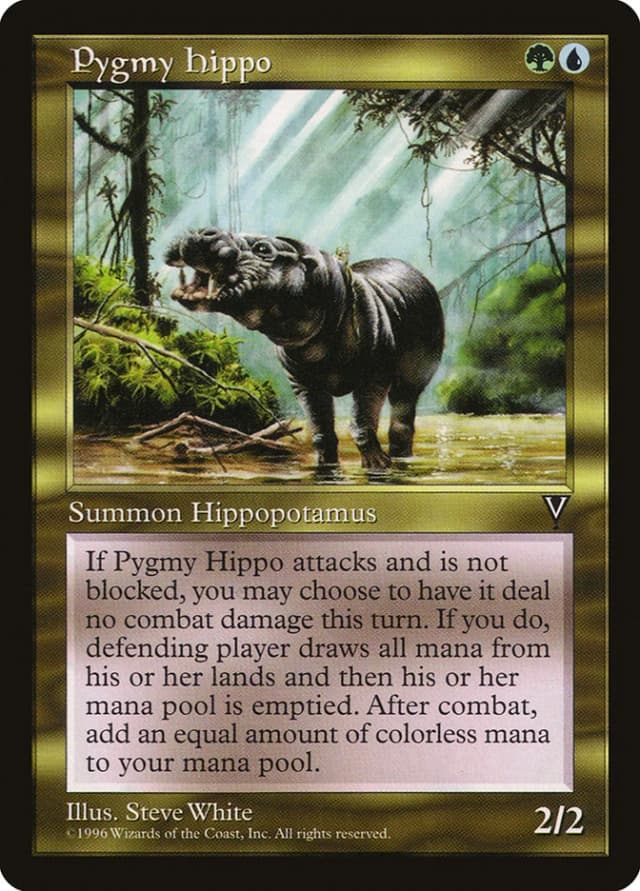 Pygmy Hippo image
