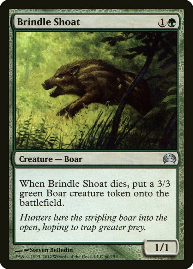 Brindle Shoat image