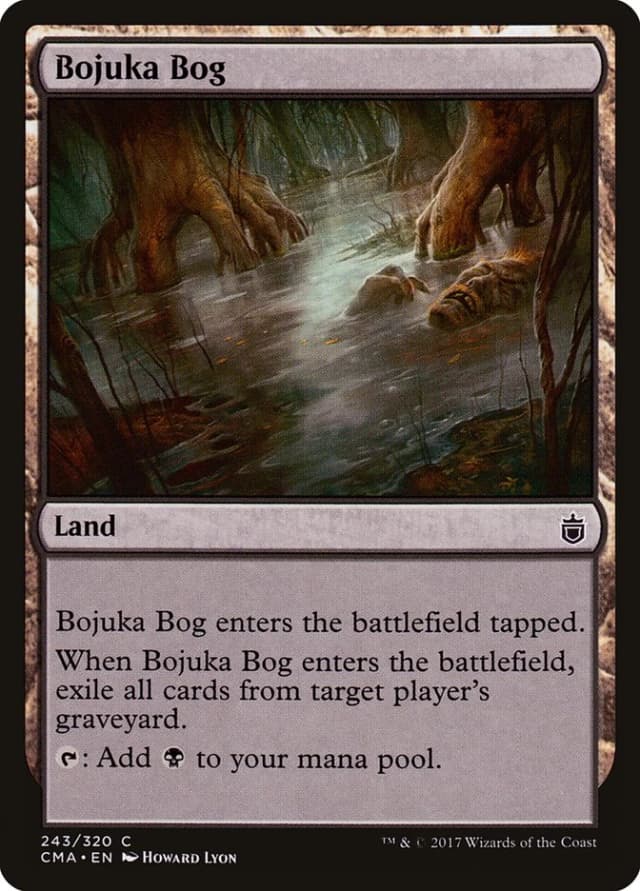 Bojuka Bog image