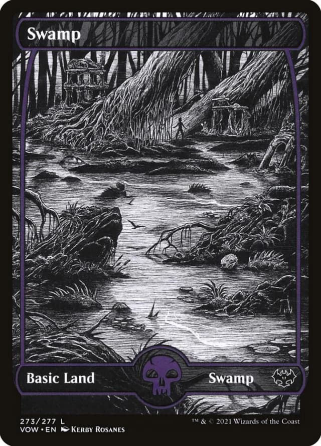 Swamp image