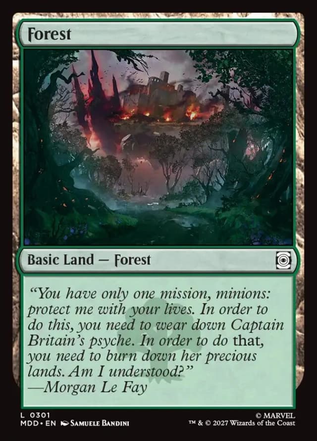 Forest image