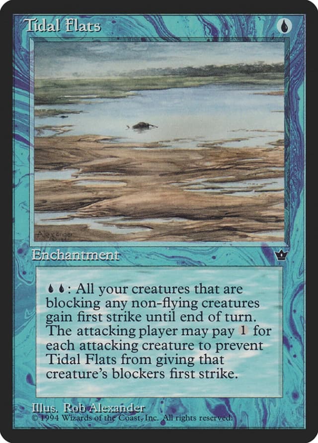 Tidal Flats image