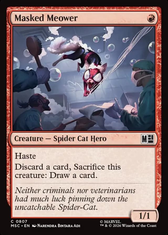 Masked Meower image