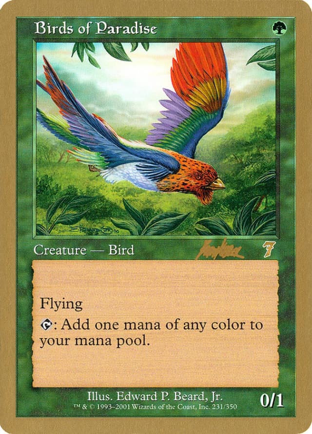 Birds of Paradise image