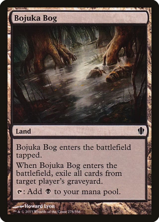 Bojuka Bog image