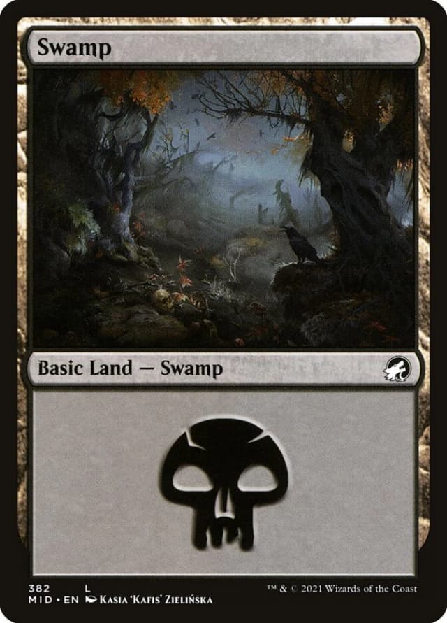 Swamp image