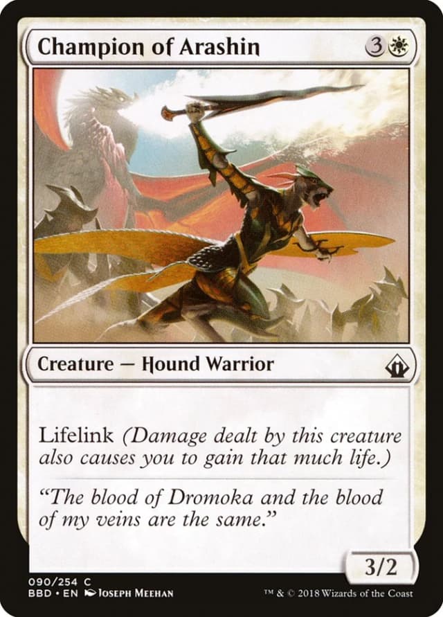 Champion of Arashin image