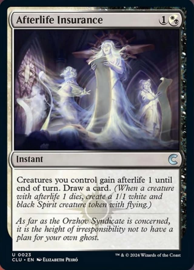 Afterlife Insurance image