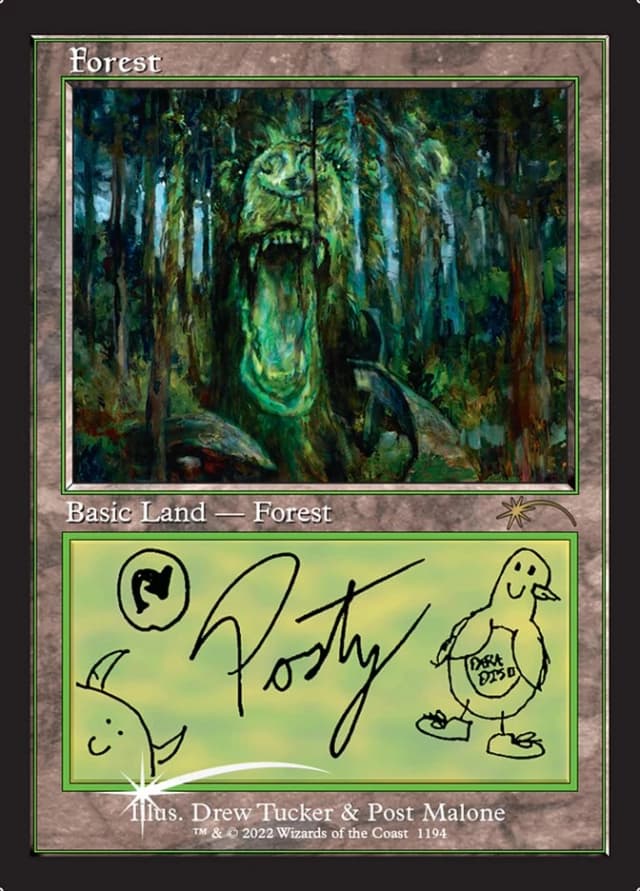 Forest image