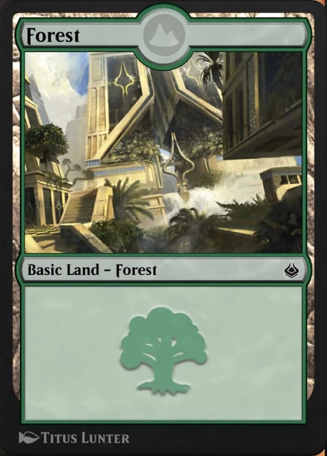 Forest image