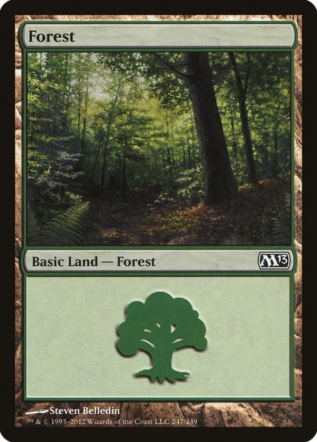 Forest image