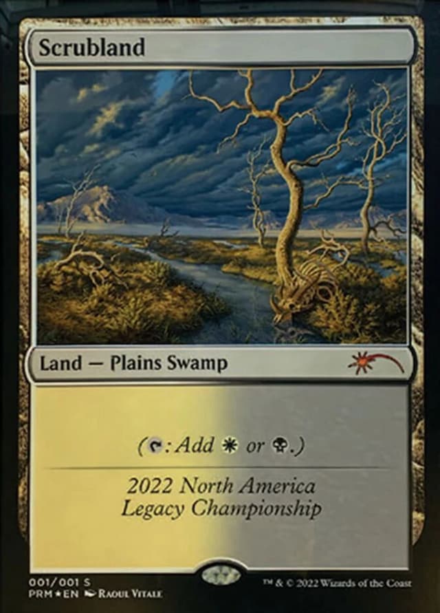 Scrubland image