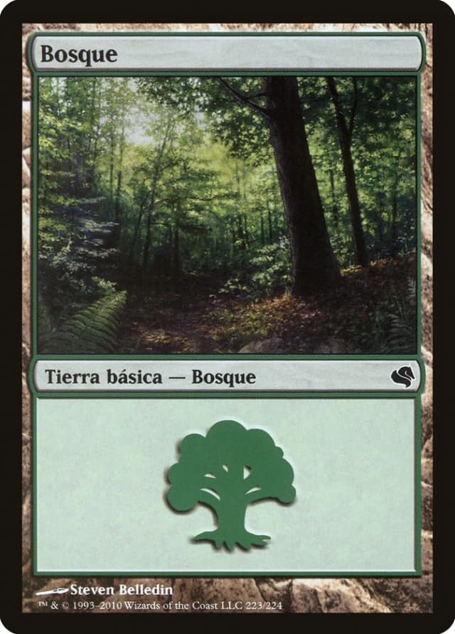 Forest image