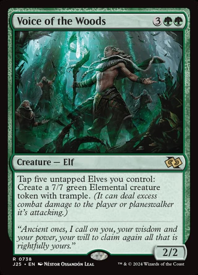 Voice of the Woods image