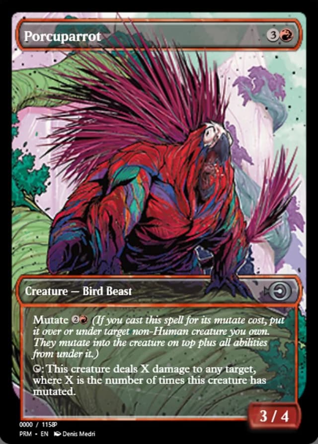 Porcuparrot image