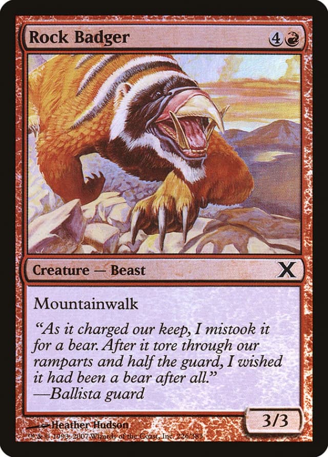 Rock Badger image