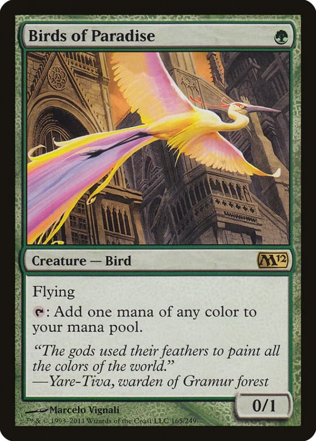Birds of Paradise image