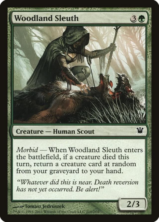 Woodland Sleuth image