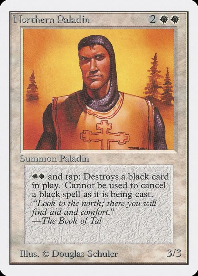 Northern Paladin image