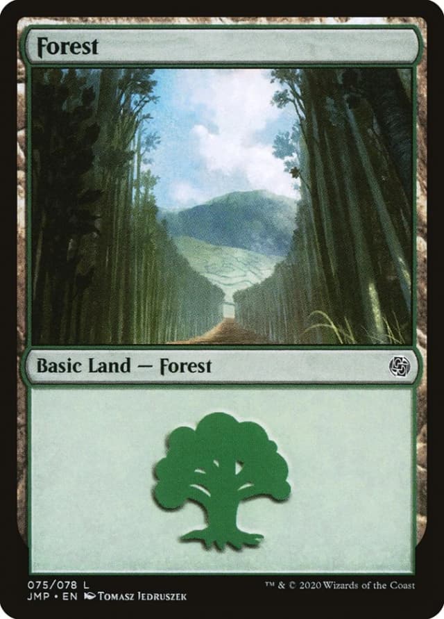 Forest image