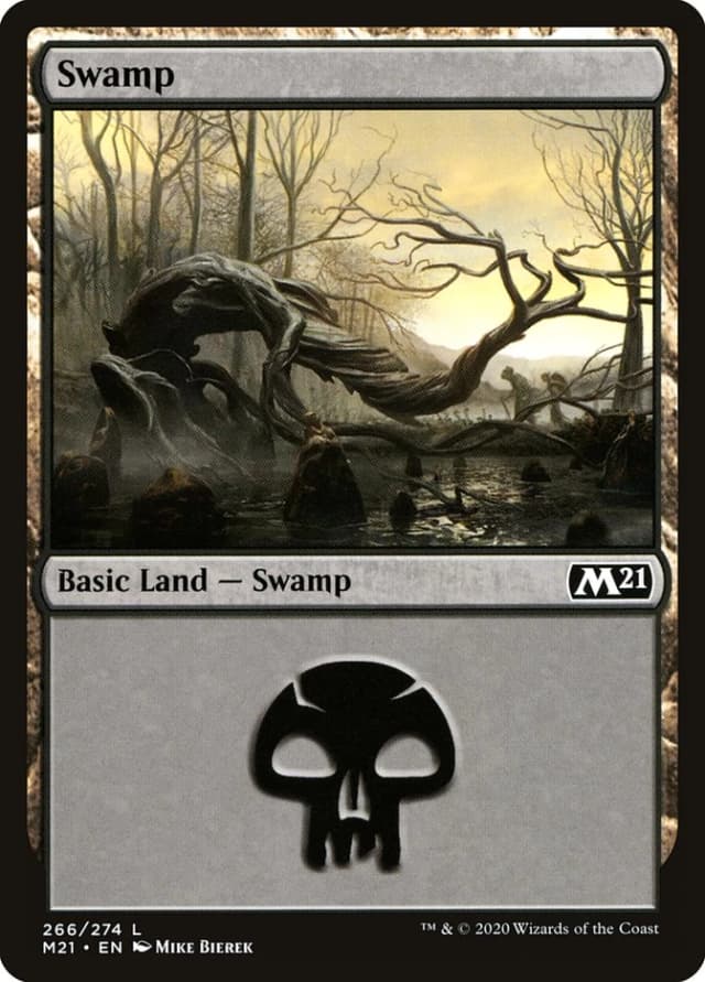 Swamp image