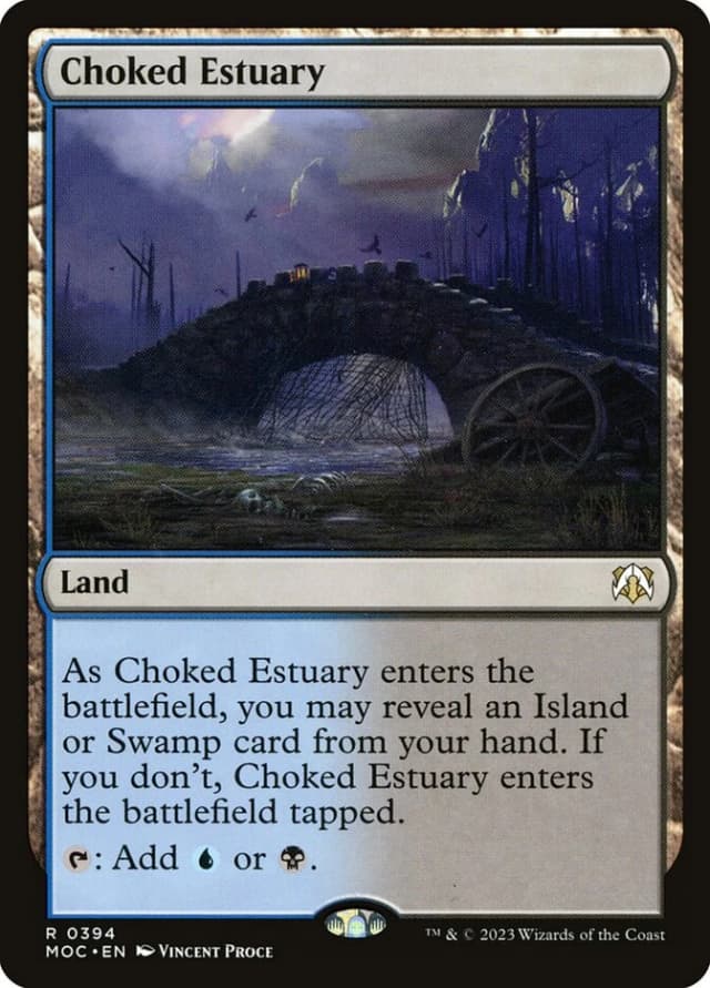 Choked Estuary image