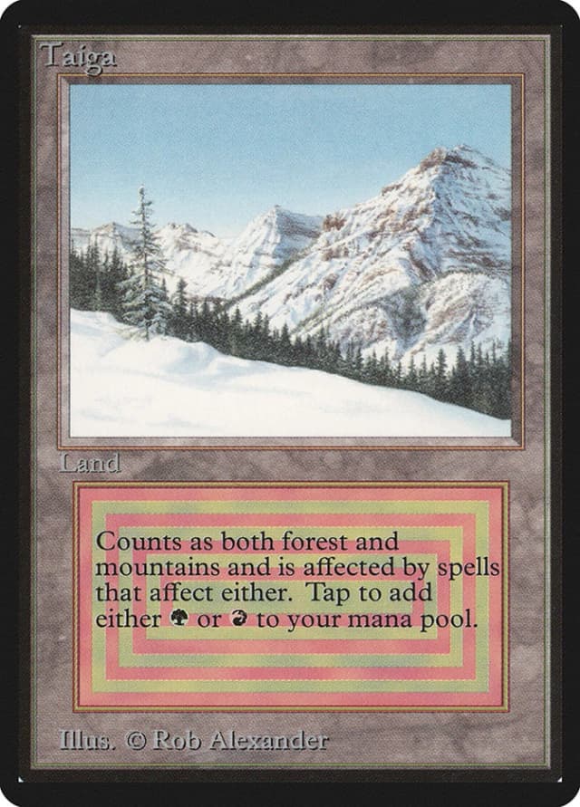 Taiga image
