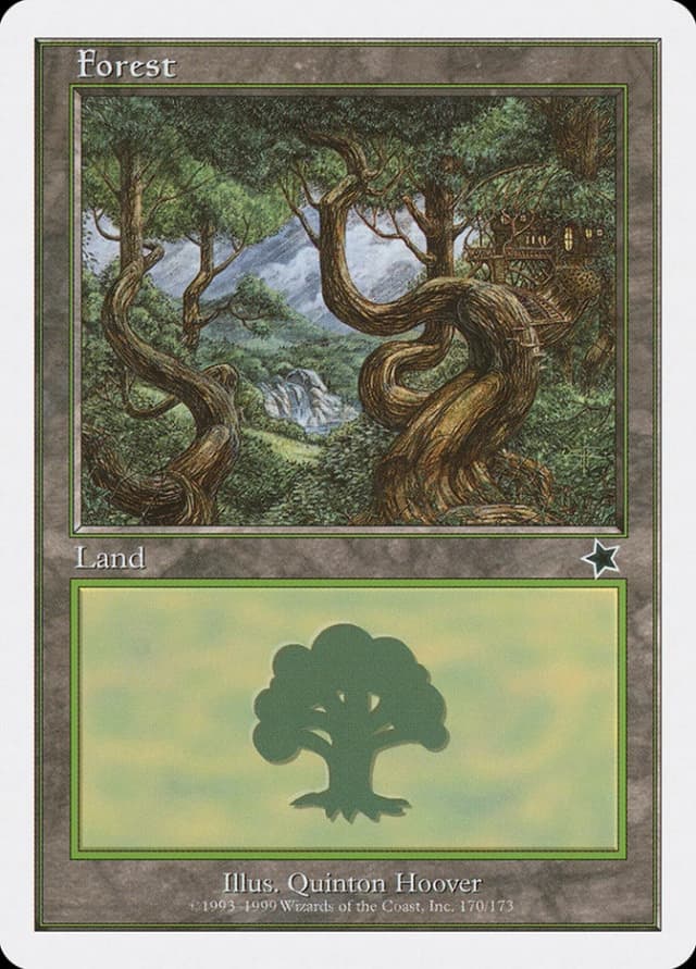 Forest image