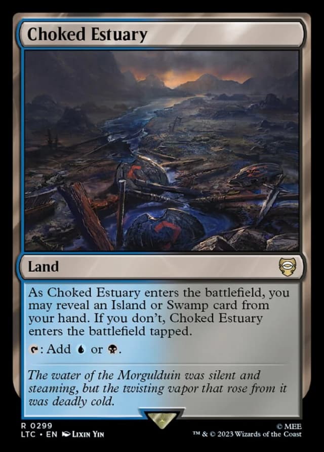 Choked Estuary image