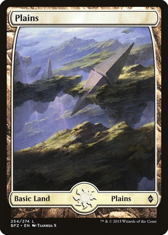 Plains image
