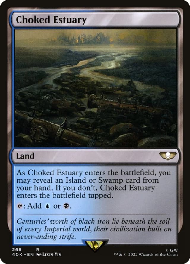 Choked Estuary image