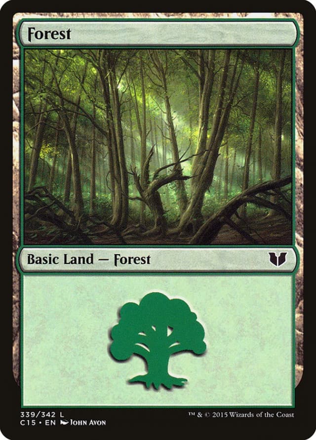 Forest image