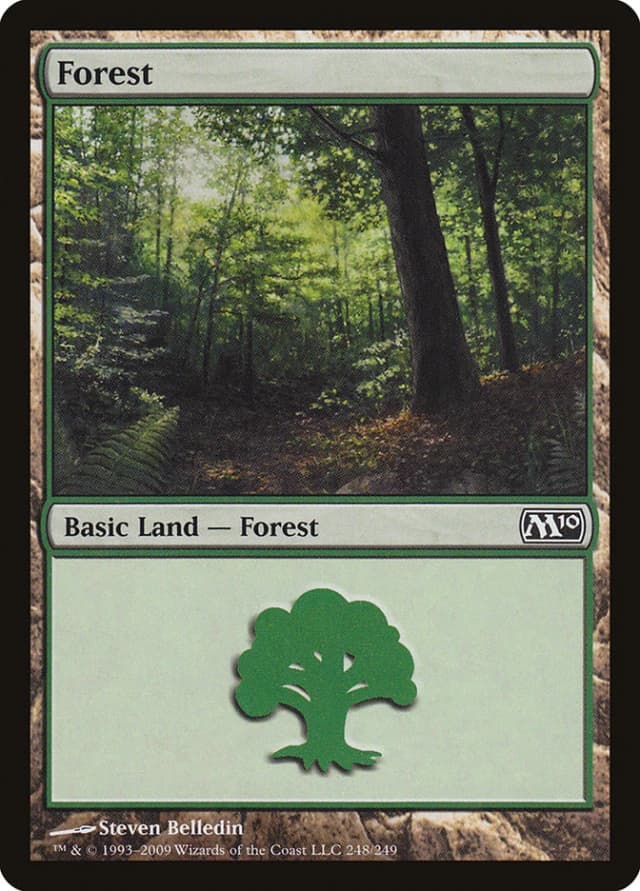 Forest image