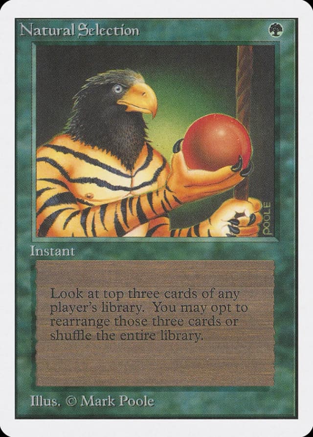Natural Selection image