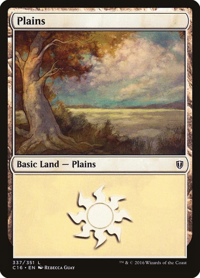 Plains image