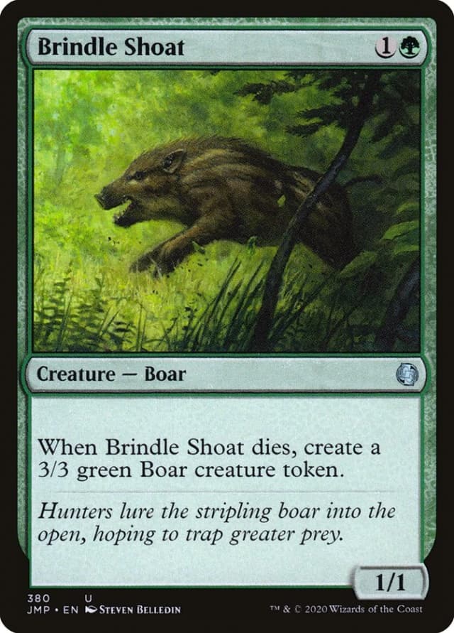 Brindle Shoat image