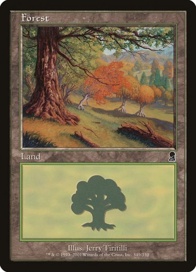 Forest image